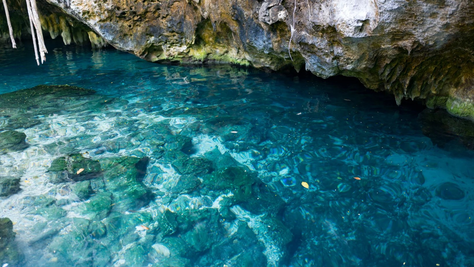 Top 5 Countries with the Lowest Corporate Taxes Emifast